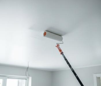 Підбір фарби для стелі: професійний гайд для майстра та виконроба — будматеріали для майстрів та виконробів | Dirom